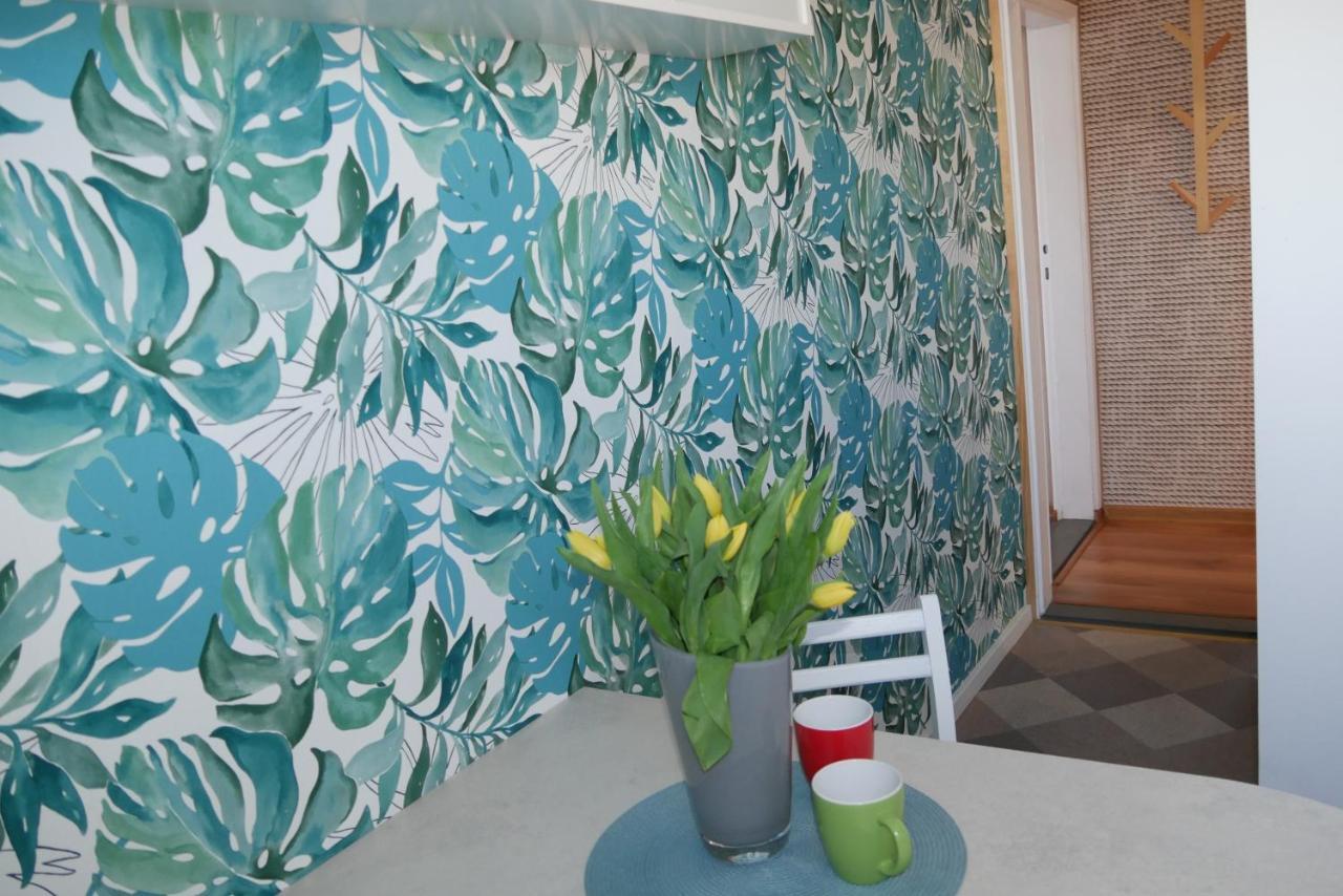 Apartamenty I Mieszkania Wakacyjne Chałupy Buitenkant foto